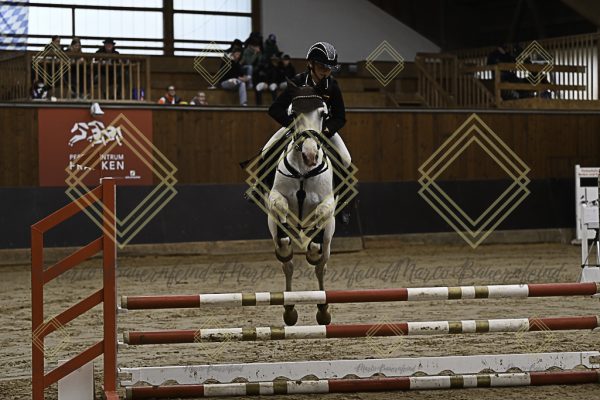 Fränkische Meisterschaft - Prüfung 16, Ponystilpr. Kl. E - Image 11