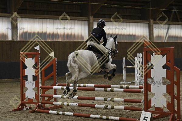 Fränkische Meisterschaft - Prüfung 16, Ponystilpr. Kl. E - Image 14