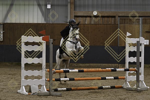 Fränkische Meisterschaft - Prüfung 16, Ponystilpr. Kl. E - Image 15