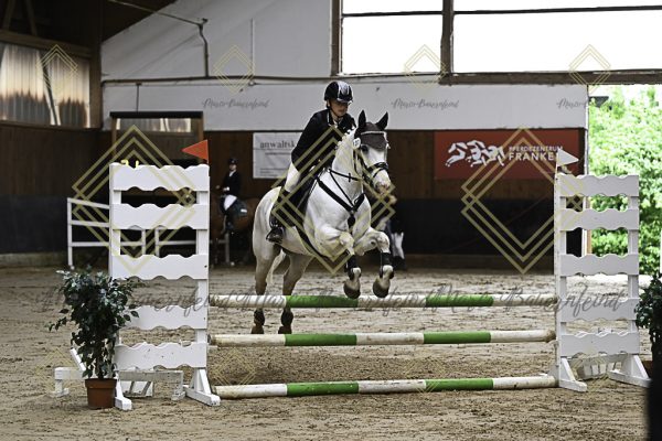 Fränkische Meisterschaft - Prüfung 17, Ponystilpr. Kl. E - Image 11