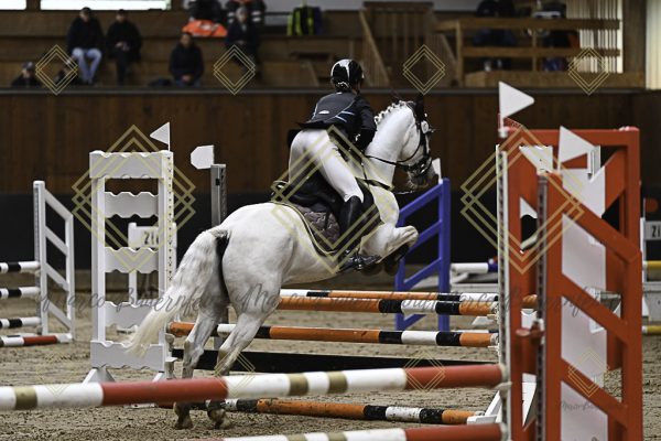 Fränkische Meisterschaft - Prüfung 17, Ponystilpr. Kl. E - Image 12