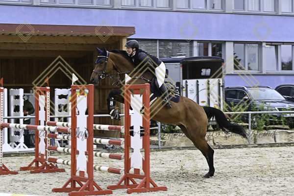 Fränkische Meisterschaft - Prüfung 19, Springpr. Kl. L - Image 110