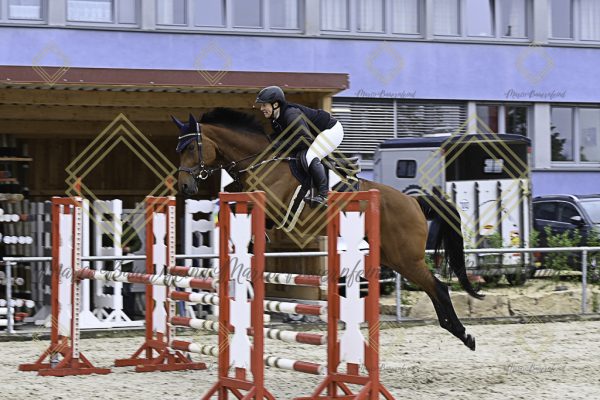 Fränkische Meisterschaft - Prüfung 19, Springpr. Kl. L - Image 111