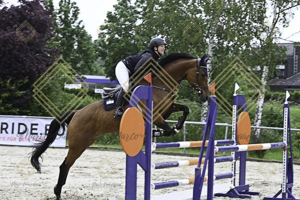 Fränkische Meisterschaft - Prüfung 19, Springpr. Kl. L - Image 113