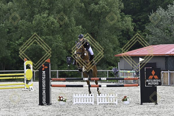 Fränkische Meisterschaft - Prüfung 19, Springpr. Kl. L - Image 114