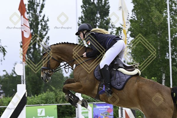 Fränkische Meisterschaft - Prüfung 19, Springpr. Kl. L - Image 115