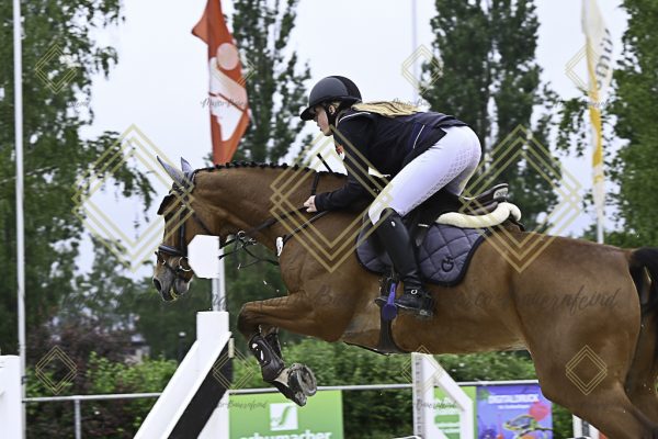 Fränkische Meisterschaft - Prüfung 19, Springpr. Kl. L - Image 116