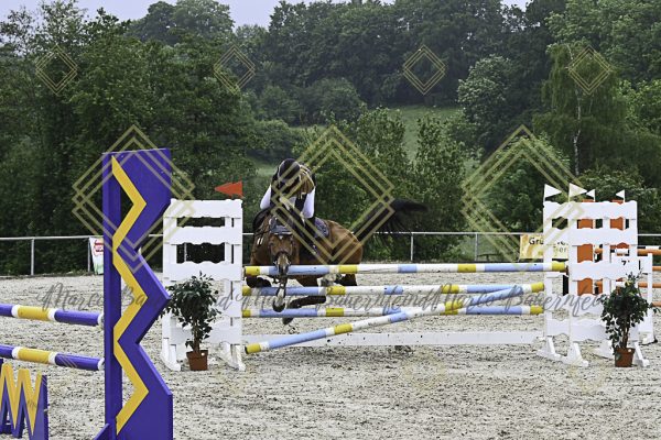 Fränkische Meisterschaft - Prüfung 19, Springpr. Kl. L - Image 118