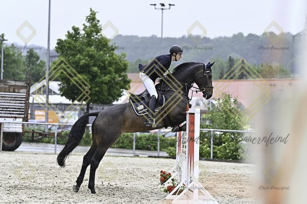 Fränkische Meisterschaft - Prüfung 10, Springpr. Kl. L - Image 104