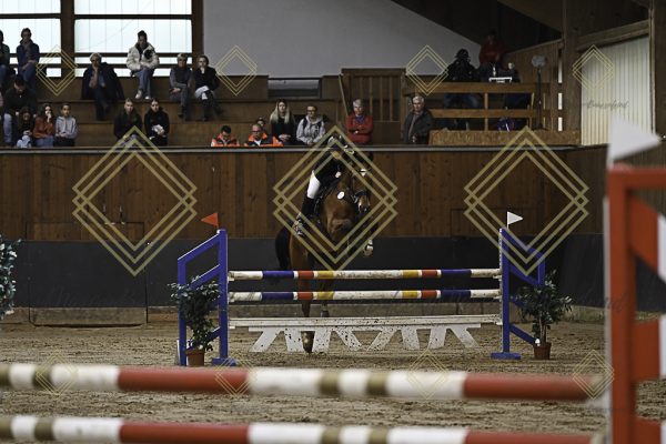 Fränkische Meisterschaft - Prüfung 12, Springpr. Kl. L - Image 123