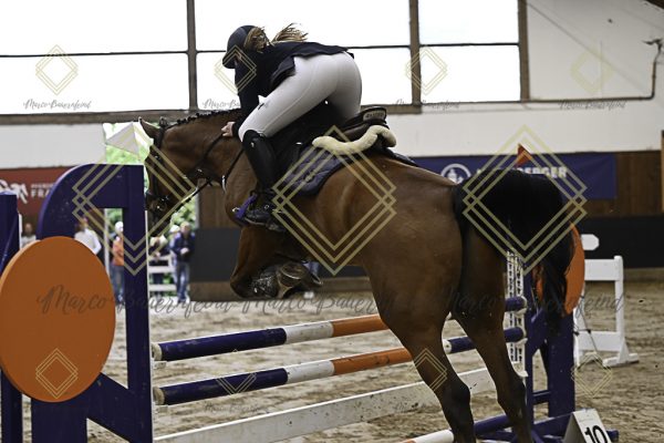 Fränkische Meisterschaft - Prüfung 12, Springpr. Kl. L - Image 129