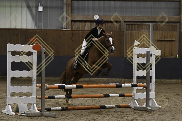 Fränkische Meisterschaft - Prüfung 16, Ponystilpr. Kl. E - Image 19