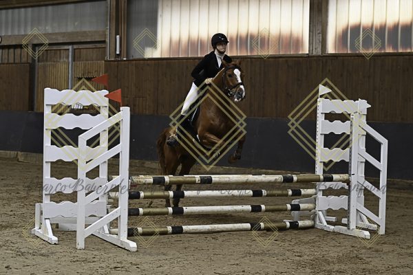 Fränkische Meisterschaft - Prüfung 17, Ponystilpr. Kl. E - Image 15