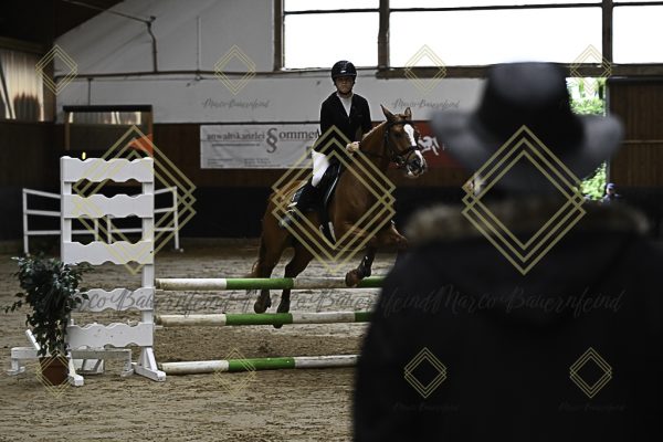 Fränkische Meisterschaft - Prüfung 17, Ponystilpr. Kl. E - Image 16