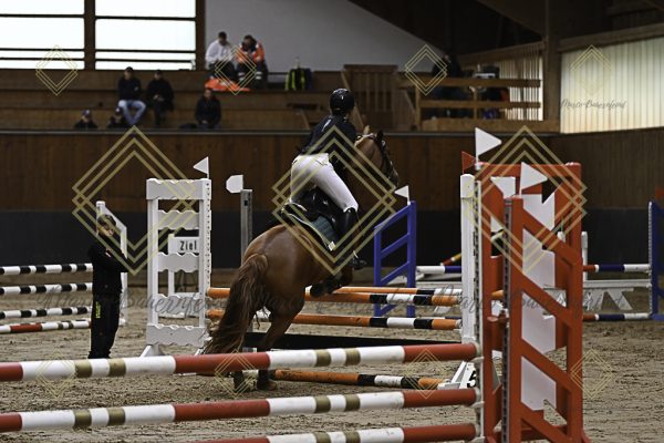Fränkische Meisterschaft - Prüfung 17, Ponystilpr. Kl. E - Image 17