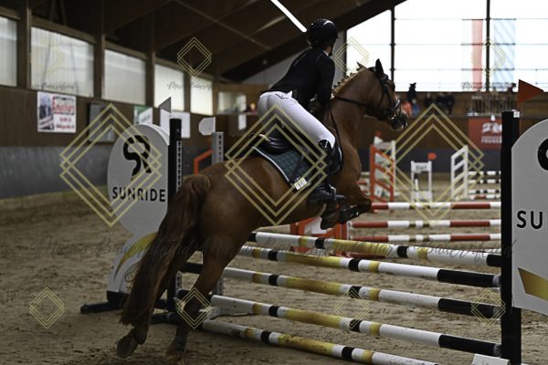 Fränkische Meisterschaft - Prüfung 17, Ponystilpr. Kl. E - Image 19