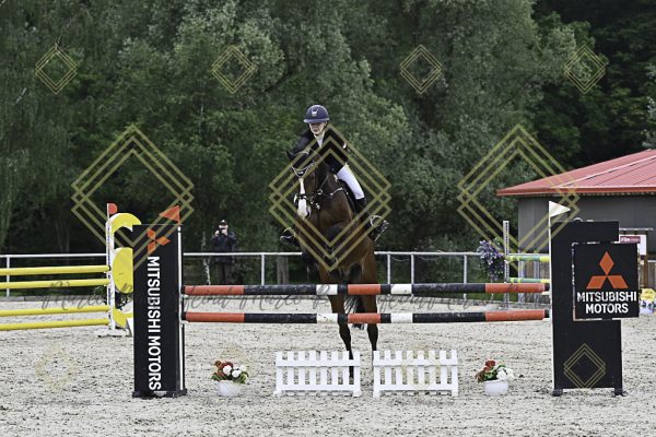 Fränkische Meisterschaft - Prüfung 19, Springpr. Kl. L - Image 120