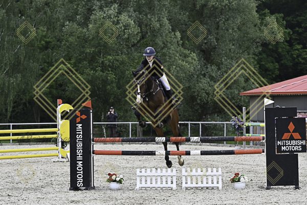 Fränkische Meisterschaft - Prüfung 19, Springpr. Kl. L - Image 121
