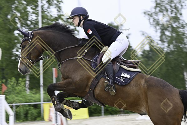 Fränkische Meisterschaft - Prüfung 19, Springpr. Kl. L - Image 123