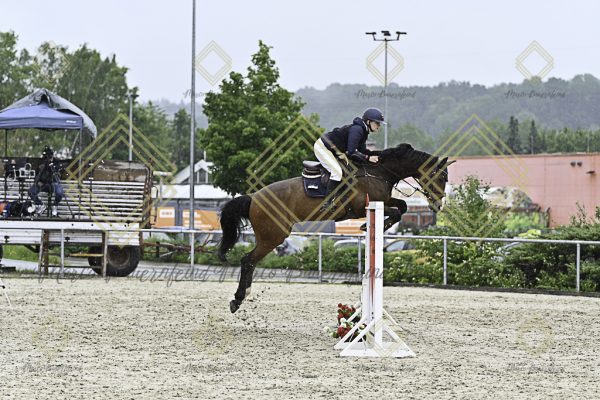 Fränkische Meisterschaft - Prüfung 10, Springpr. Kl. L - Image 105