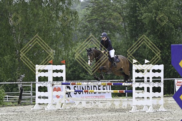 Fränkische Meisterschaft - Prüfung 10, Springpr. Kl. L - Image 107