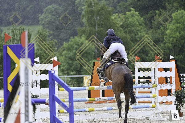 Fränkische Meisterschaft - Prüfung 10, Springpr. Kl. L - Image 108