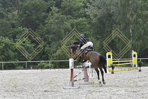Fränkische Meisterschaft - Prüfung 10, Springpr. Kl. L - Image 112