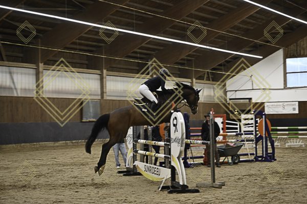 Fränkische Meisterschaft - Prüfung 11, Springpr. Kl. L - Image 83