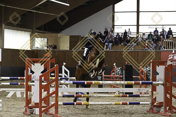 Fränkische Meisterschaft - Prüfung 12, Springpr. Kl. L - Image 144