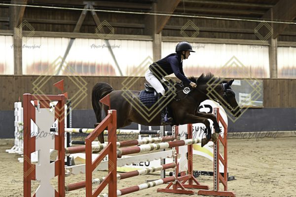 Fränkische Meisterschaft - Prüfung 15, Ponystilpr. Kl. L - Image 2