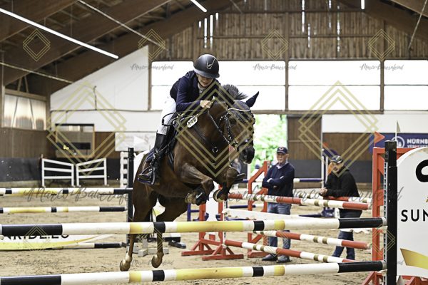 Fränkische Meisterschaft - Prüfung 15, Ponystilpr. Kl. L - Image 15