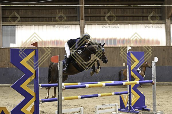 Fränkische Meisterschaft - Prüfung 15, Ponystilpr. Kl. L - Image 16