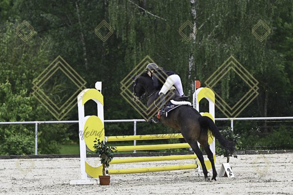 Fränkische Meisterschaft - Prüfung 13, Springpr. Kl. A** - Image 33