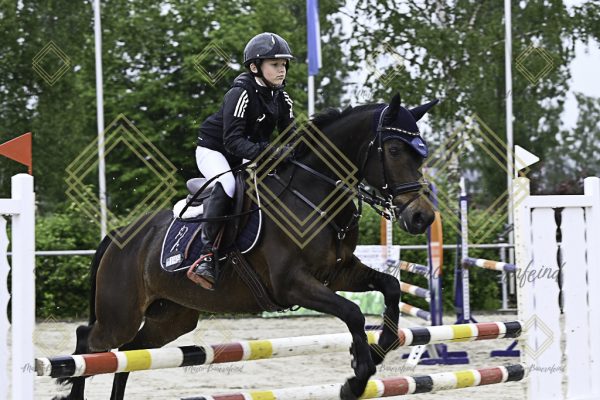 Fränkische Meisterschaft - Prüfung 13, Springpr. Kl. A** - Image 36