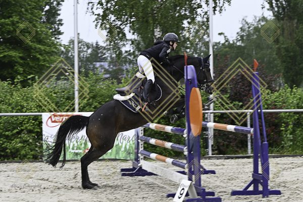 Fränkische Meisterschaft - Prüfung 13, Springpr. Kl. A** - Image 37