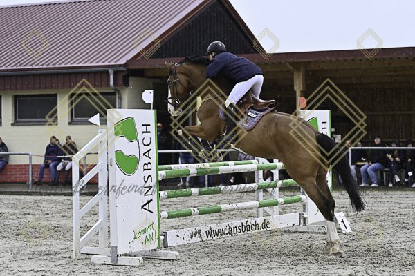 Fränkische Meisterschaft - Prüfung 7, Springpr. Kl. L - Image 75