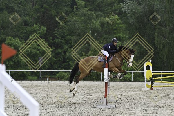 Fränkische Meisterschaft - Prüfung 7, Springpr. Kl. L - Image 76