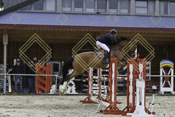 Fränkische Meisterschaft - Prüfung 7, Springpr. Kl. L - Image 77