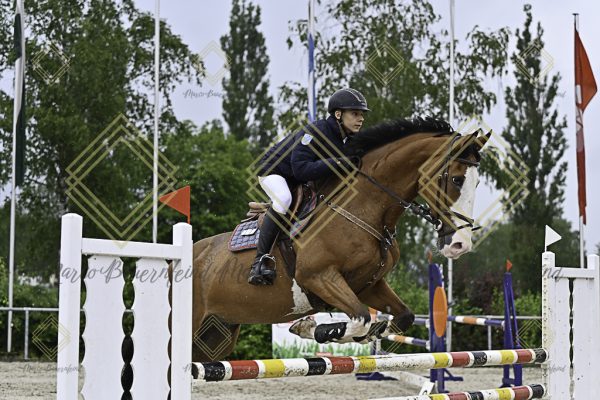 Fränkische Meisterschaft - Prüfung 7, Springpr. Kl. L - Image 78