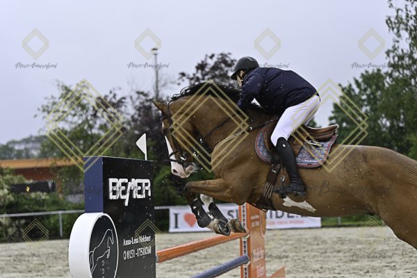 Fränkische Meisterschaft - Prüfung 7, Springpr. Kl. L - Image 79