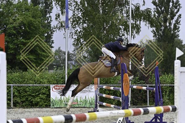 Fränkische Meisterschaft - Prüfung 7, Springpr. Kl. L - Image 80