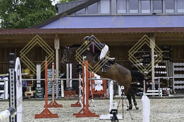 Fränkische Meisterschaft - Prüfung 4, Springpr. Kl. M* - Image 67