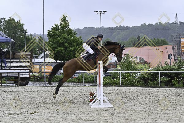 Fränkische Meisterschaft - Prüfung 4, Springpr. Kl. M* - Image 70