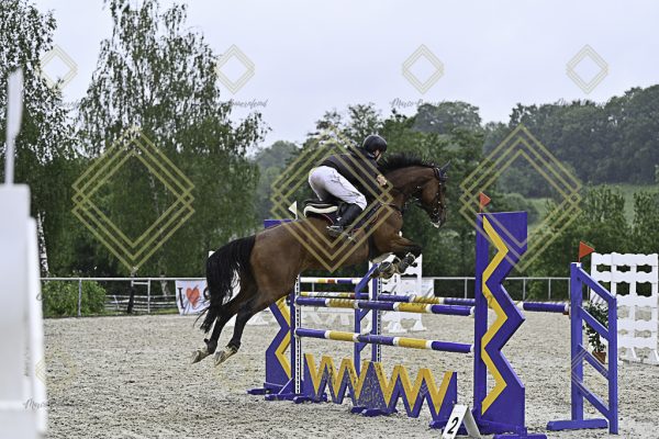 Fränkische Meisterschaft - Prüfung 4, Springpr. Kl. M* - Image 71
