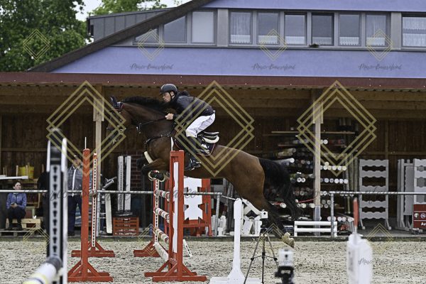 Fränkische Meisterschaft - Prüfung 4, Springpr. Kl. M* - Image 75
