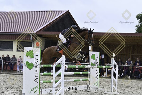 Fränkische Meisterschaft - Prüfung 4, Springpr. Kl. M* - Image 76