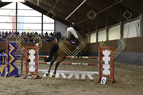 Fränkische Meisterschaft - Prüfung 6, Springpr. Kl. M** - Image 52
