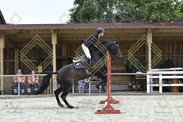 Fränkische Meisterschaft - Prüfung 20, Springpr.Kl.A** - Image 75