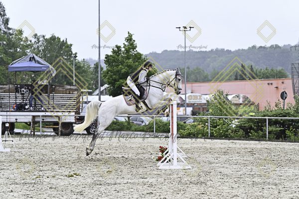 Fränkische Meisterschaft - Prüfung 10, Springpr. Kl. L - Image 113