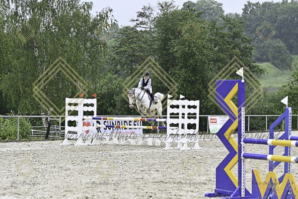 Fränkische Meisterschaft - Prüfung 10, Springpr. Kl. L - Image 115
